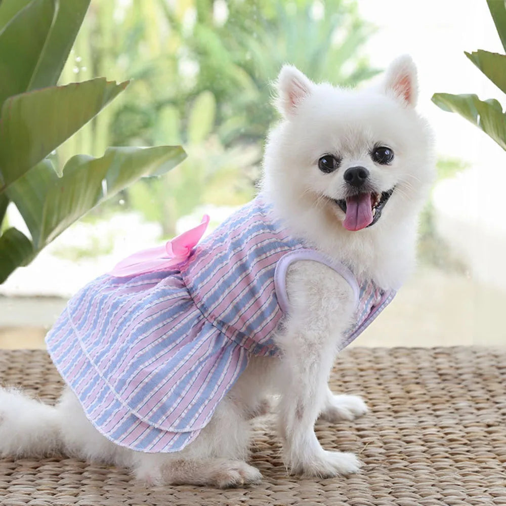 Dog Dress for Small Dog Girl Puppy Clothes Female Princess Tutu Striped Skirt Summer Shirt for Chihuahua Cat Pet Apparel Outfits