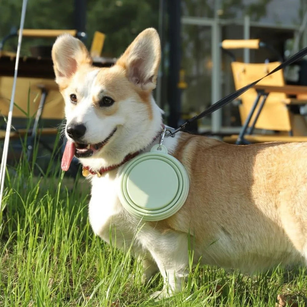 2pcs Collapsible Pet Silicone Dog Food Water Bowl Outdoor Camping Travel Portable Folding Supplies Dishes with Carabiner