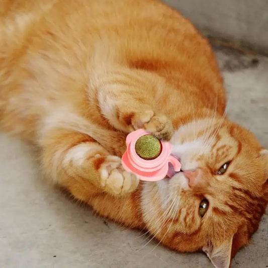 Catnip Licking Ball Cat Snack Edible Balls Cat Wall Decoration Kitten Playing Chewing Cleaning Teeth Toy Catnip Cat Treats