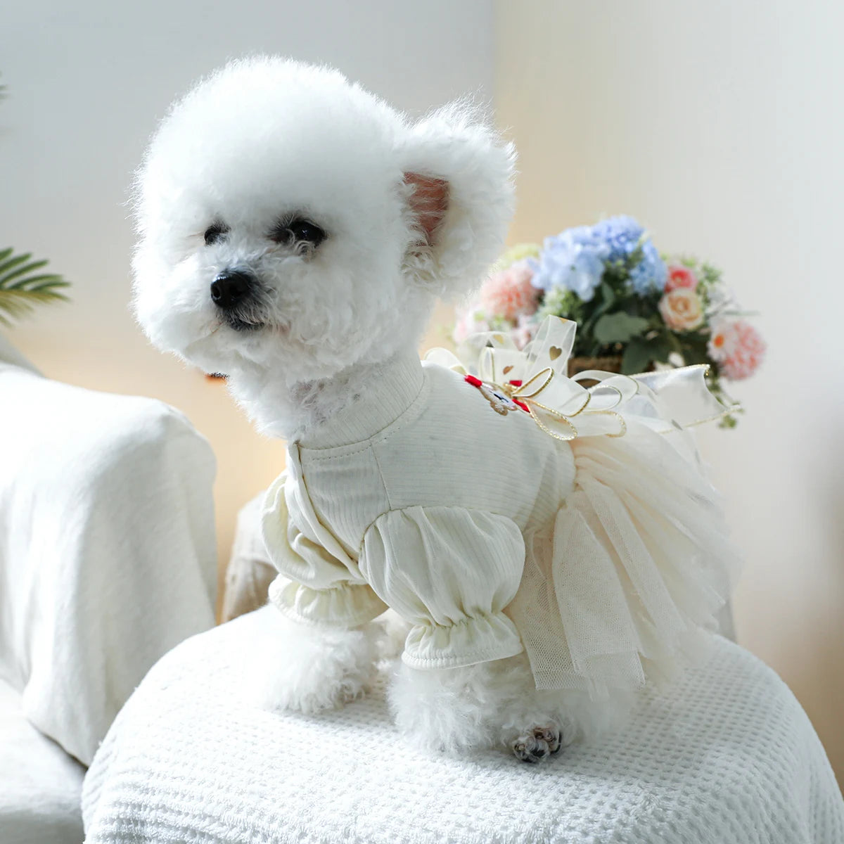 1PC Pet Clothing Spring and Autumn Wedding Bear Wedding Dress Princess Dress Suitable for Small and Medium sized Dogs