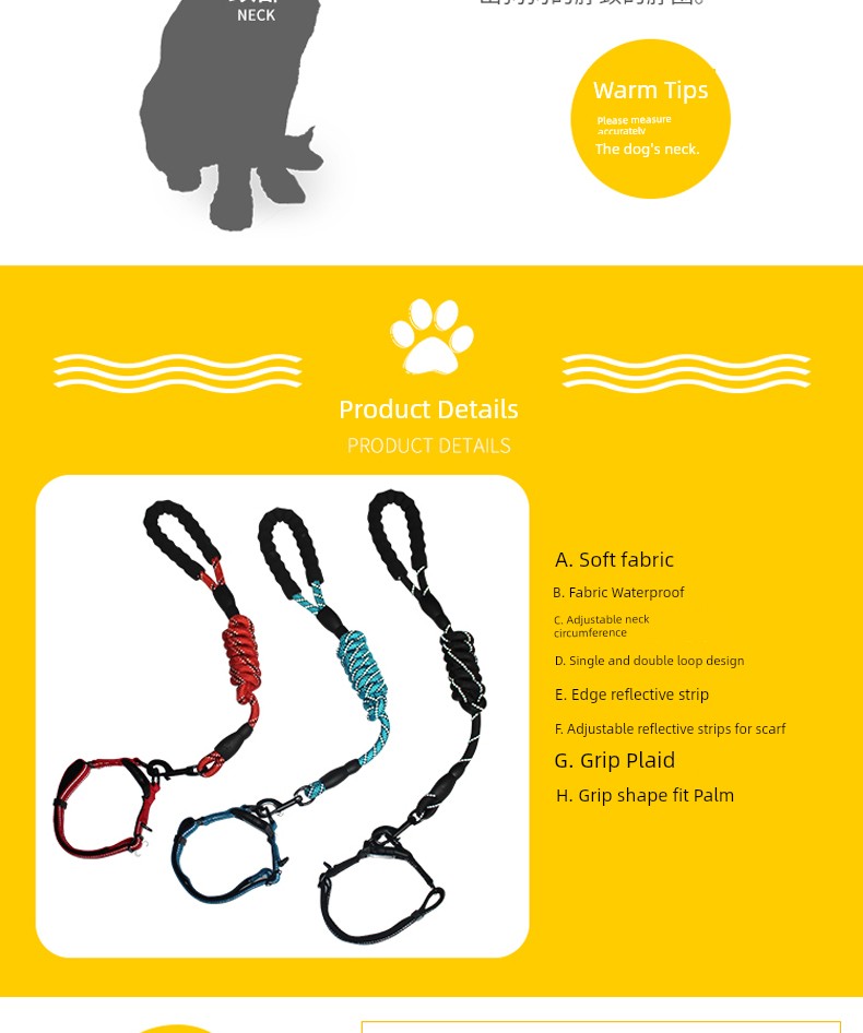 Long Leash and Collar for Large Dogs