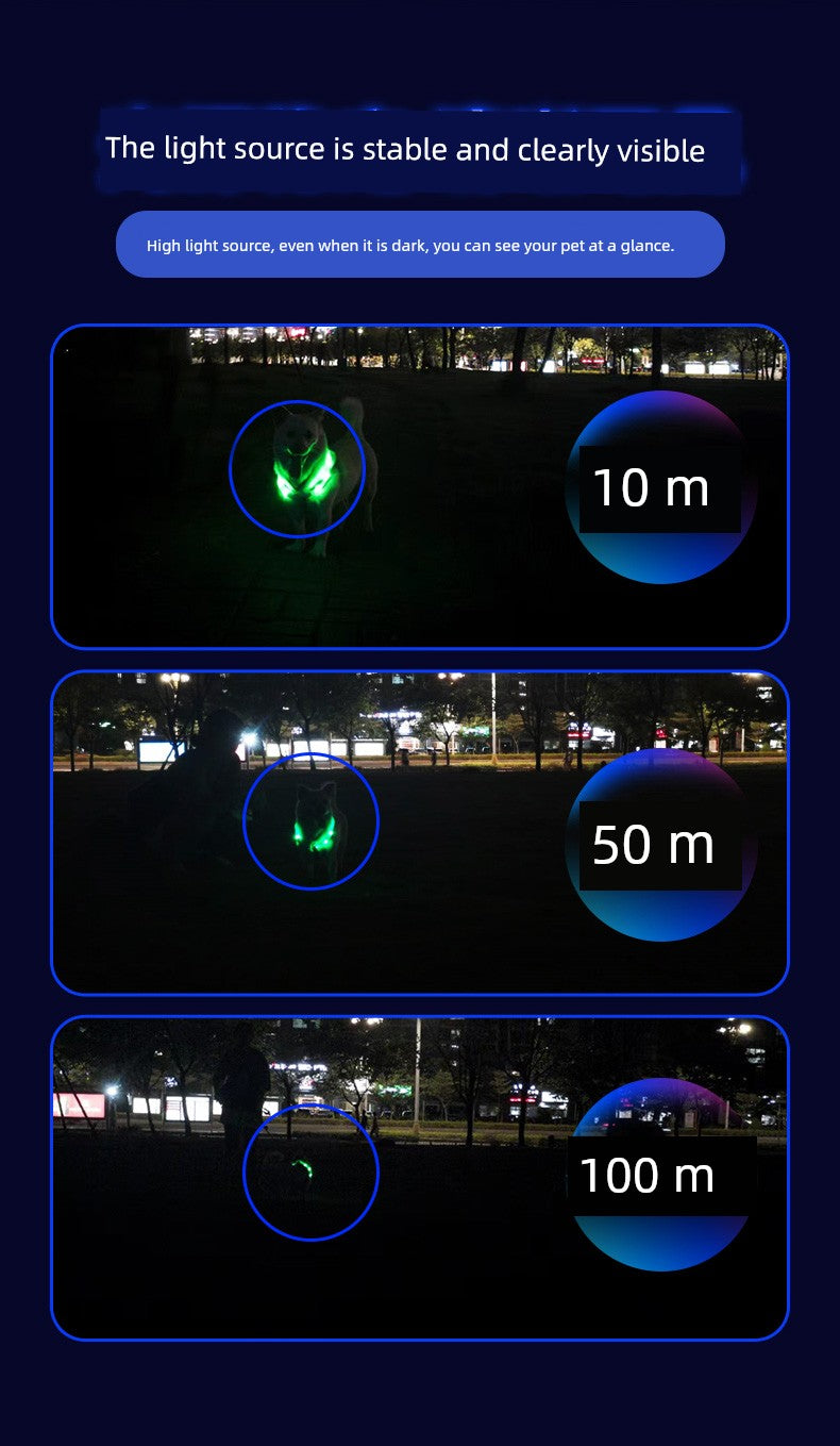 Luminous Night Running Light Big and Small Dogs Anti-Lost Dog