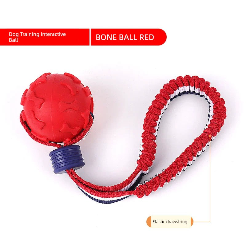 Interactive Dog with Tetherball Pet Supplies