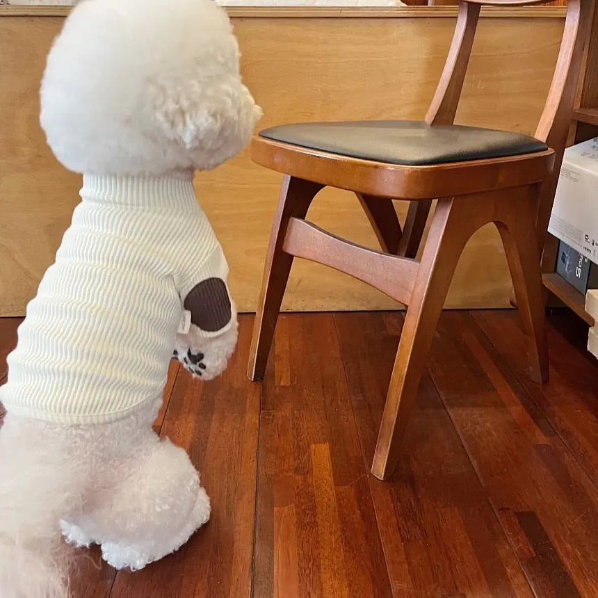 Fashion Pet Dog Bottoming Shirt Puppy Solid Color Clothes Winter Teddy Warm Two Legged Clothing Pet poodle Pullover Dog Jackets