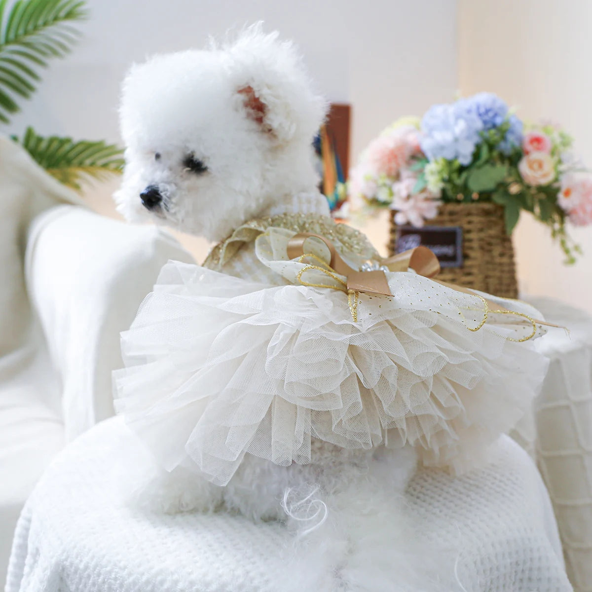 1PC Pet Clothing Spring and Autumn Dream Starry Wedding Dress Princess Dress Suitable for Small and Medium sized Dogs