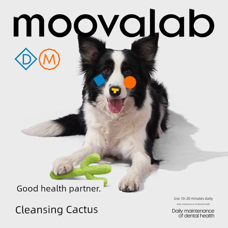 Moovalab Qzee Cactus Molar Rod