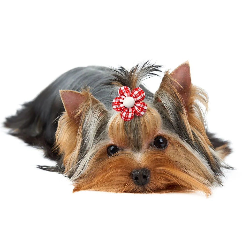 10/20pcs Flower Dog Hair Bow Red Style Valentine's Day Decorate Dog Bowknot with Rubber Bands for Small Dog Puppy Accessories