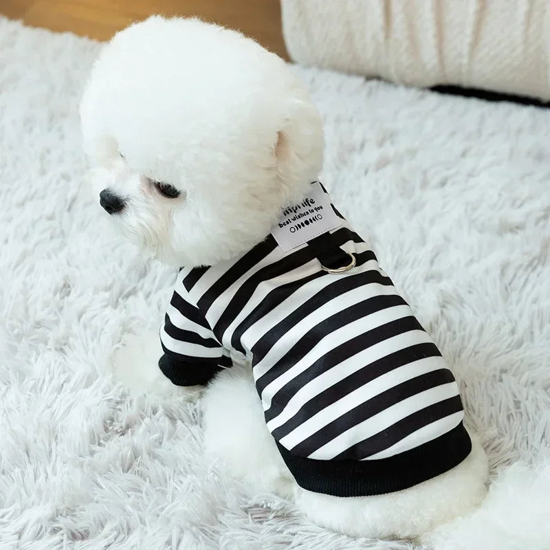 Vêtements Vêtements Rayures Sweat À Capuche Traction Automne Chihuahua Mignon Garçon Imprimé Mascottes Mode Chiens Chien Blanc Animal De Compagnie Noir Fille Hiver