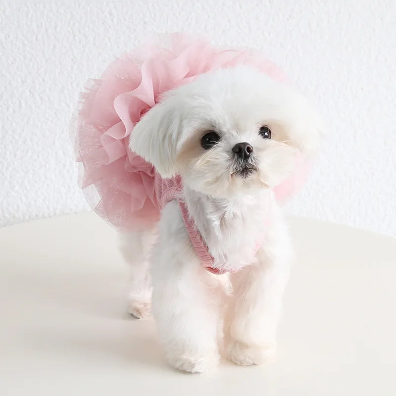 Elegant Pet Puff Skirt Dog Dance Skirt Spring/Summer New Dog Strap Dress Cat Clothing Pet Clothing Cute Bottom Skirt