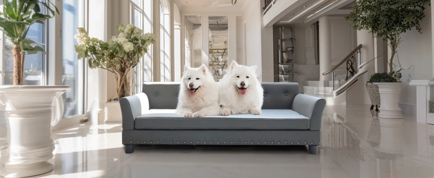 Comfortable Dog Couch, Modern and Stylish Dog Sofa