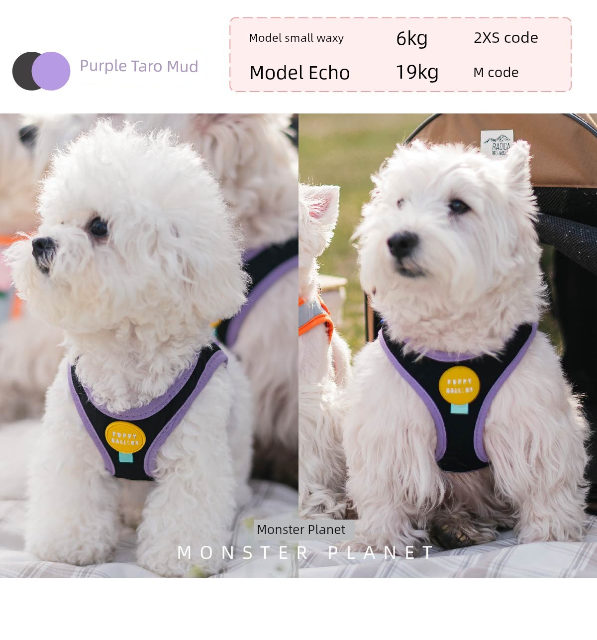 Contrast Color Chest and Back Tow Rope Collar Dog