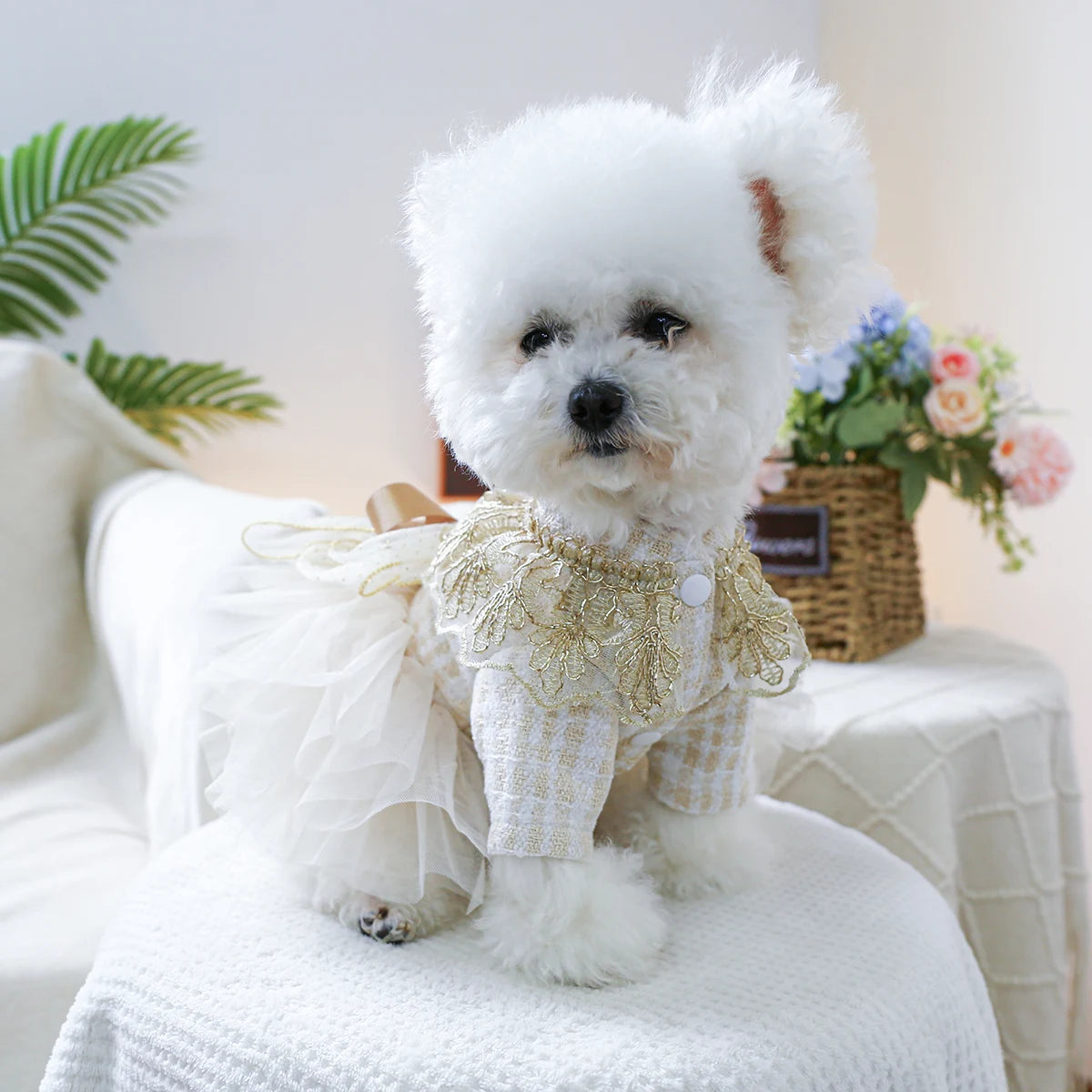 1PC Pet Clothing Spring and Autumn Dream Starry Wedding Dress Princess Dress Suitable for Small and Medium sized Dogs