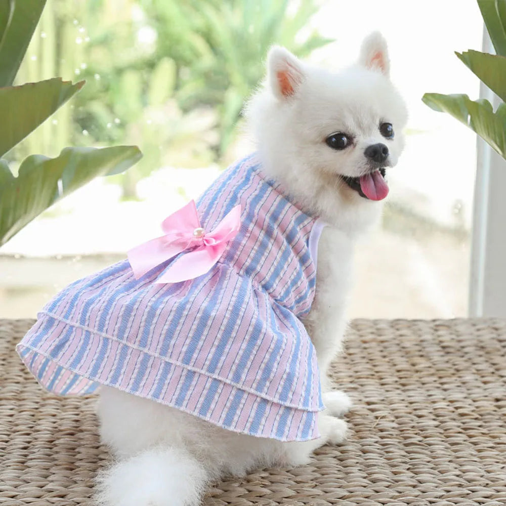 Dog Dress for Small Dog Girl Puppy Clothes Female Princess Tutu Striped Skirt Summer Shirt for Chihuahua Cat Pet Apparel Outfits