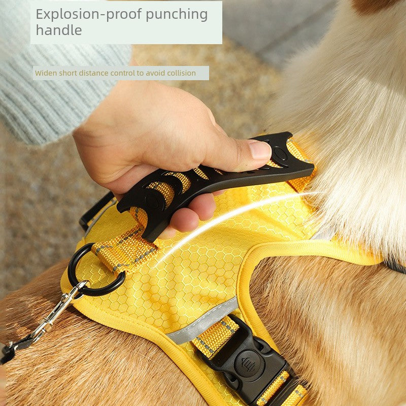 Pet Harness Dog Walking Dog Hand Holding Rope