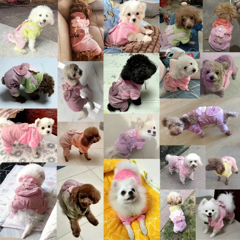 Pet Dog Clothes Autumn Winter Warm Pet Dog Coat For Small Dogs Puppy Jacket Outfit Cute Flower Love Pants Dog Jumpsuit Chihuahua