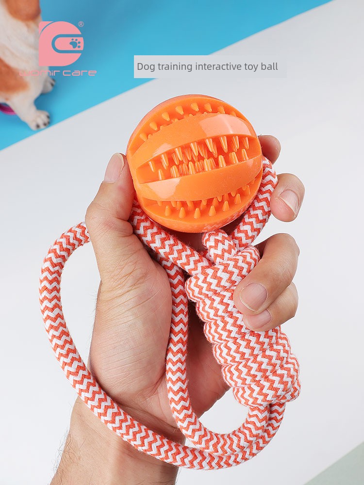 Interactive Dog with Tetherball Pet Supplies