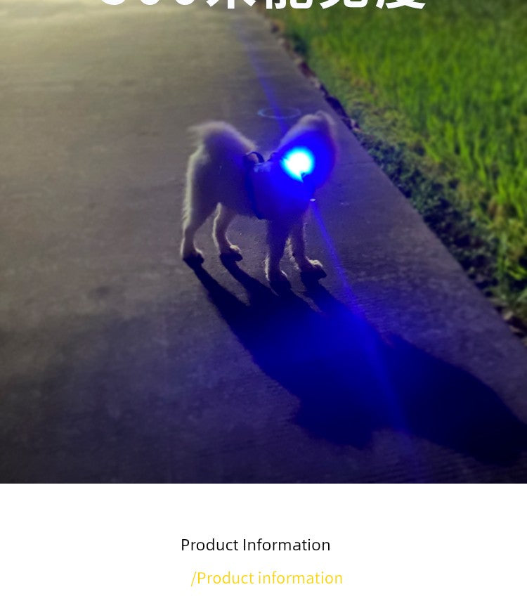 Travel Handy Gadget Charging Waterproof Luminous Dog Walking Collar