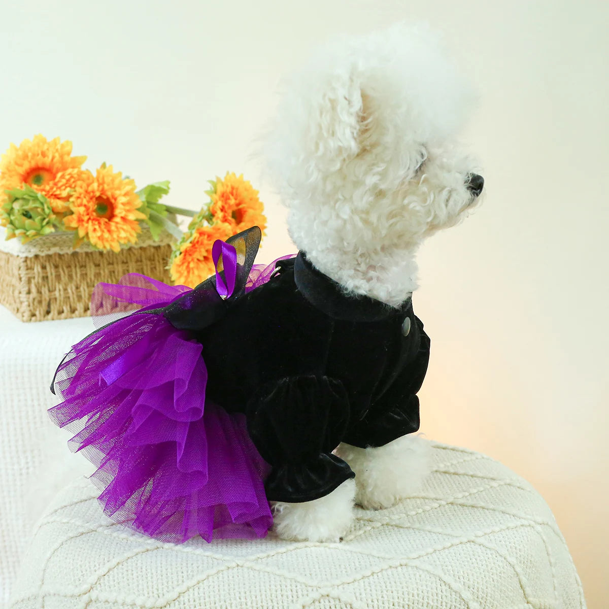 1PC Pet Clothing Dog Autumn Winter Black Velvet Purple Princess Wedding Dress Dress With Drawstring Buckle For Small Medium Dogs