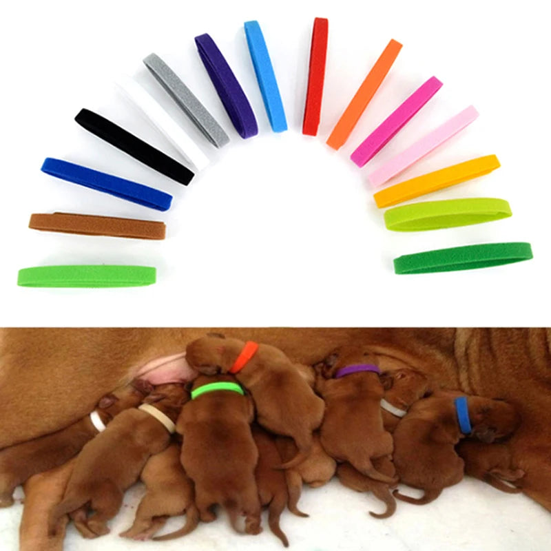 12Pcs Puppy Whelping Collar Newborn Pets Collar Double-Sided Soft Adjustable ID Band Puppy ID Collar For Newborn Pet Dog Cat