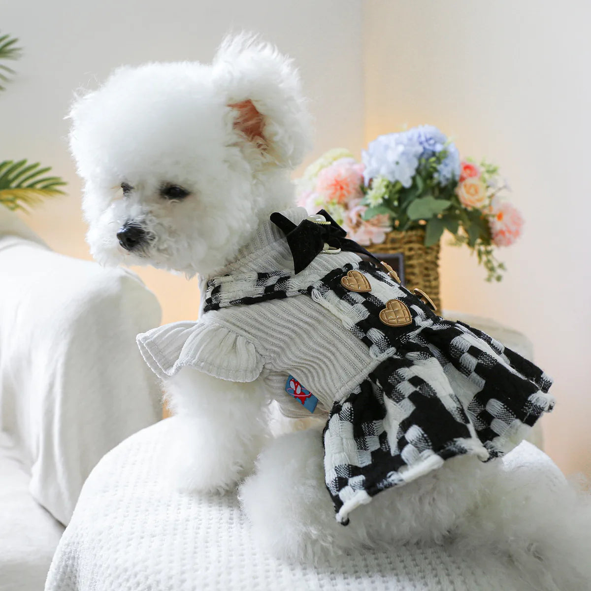 Luxury Black Dog Harness Dresses Clothes For Small Pet Autumn Winter Puppy Maltese Chihuahua Party Uniform Outfit XS XL Products