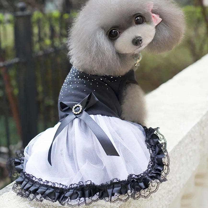 Dog Skirts Pet Wedding Dresses Pet Dresses Poodle Bichon Frise Princess Dress Summer Dog Dresses