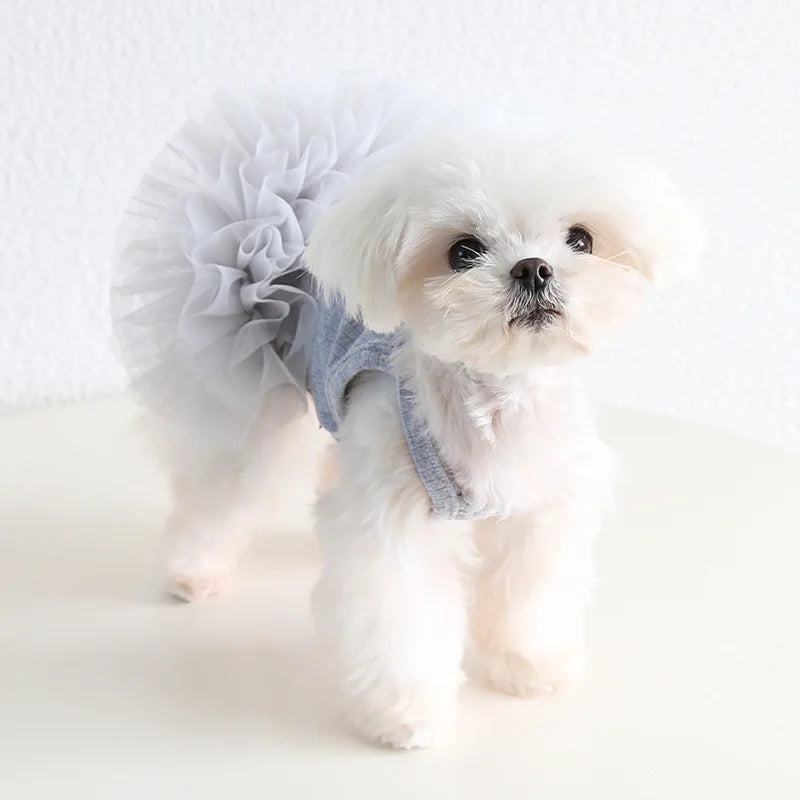 Elegant Pet Puff Skirt Dog Dance Skirt Spring/Summer New Dog Strap Dress Cat Clothing Pet Clothing Cute Bottom Skirt