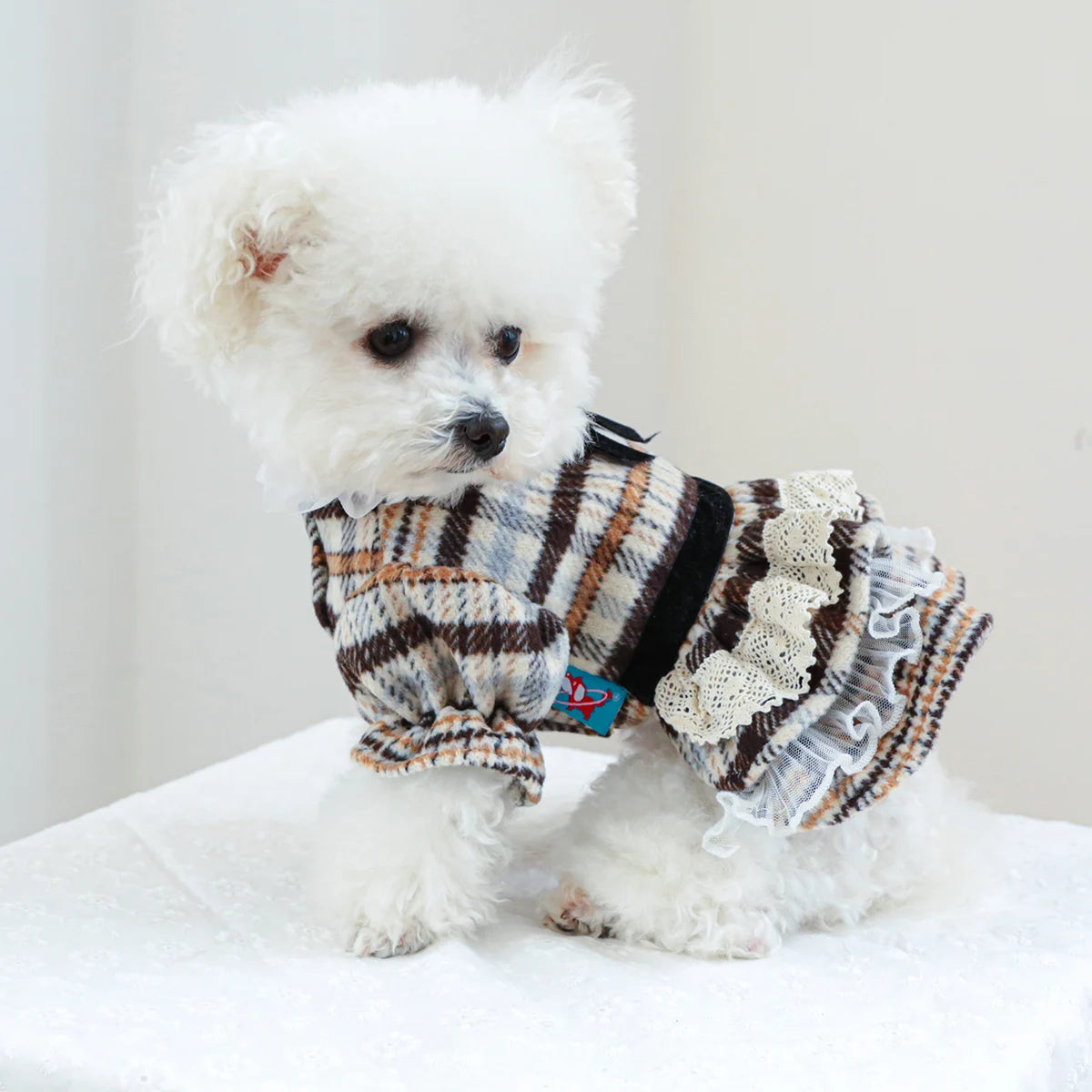 1PC Pet Clothing Spring and Autumn Maillard Dress Wedding Princess Dress Suitable for Small and Medium sized Dogs