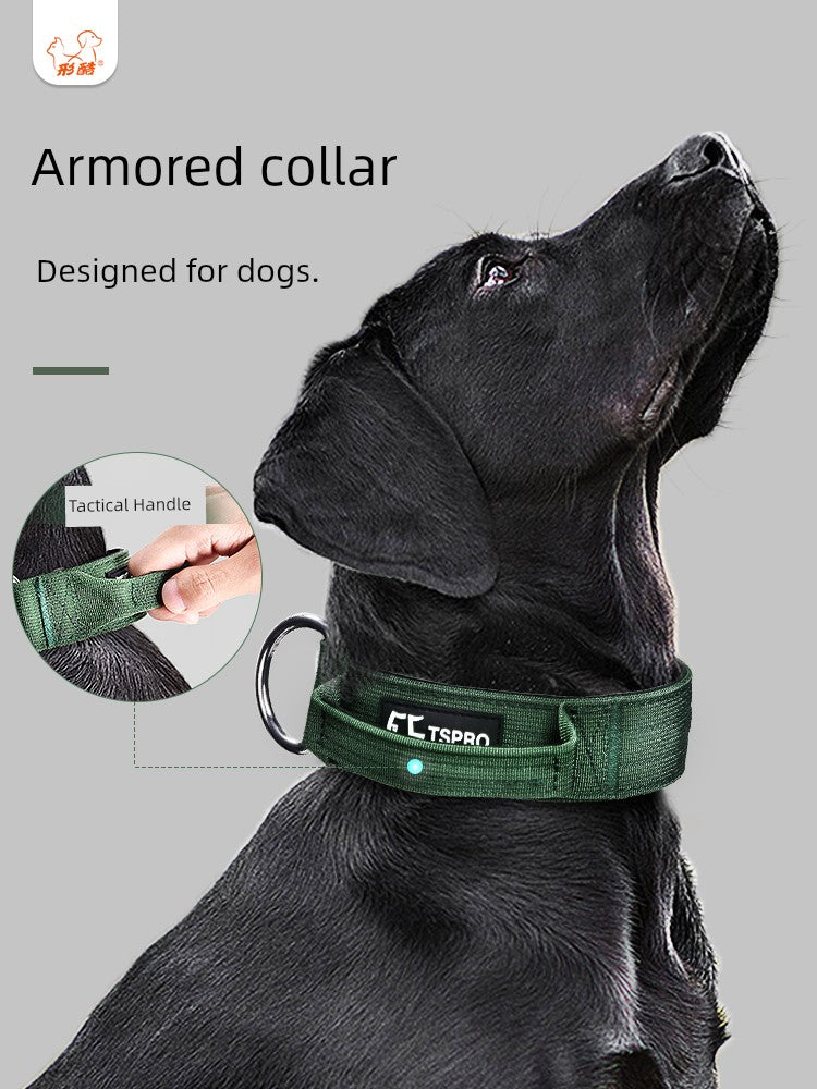 Large Dog Collar