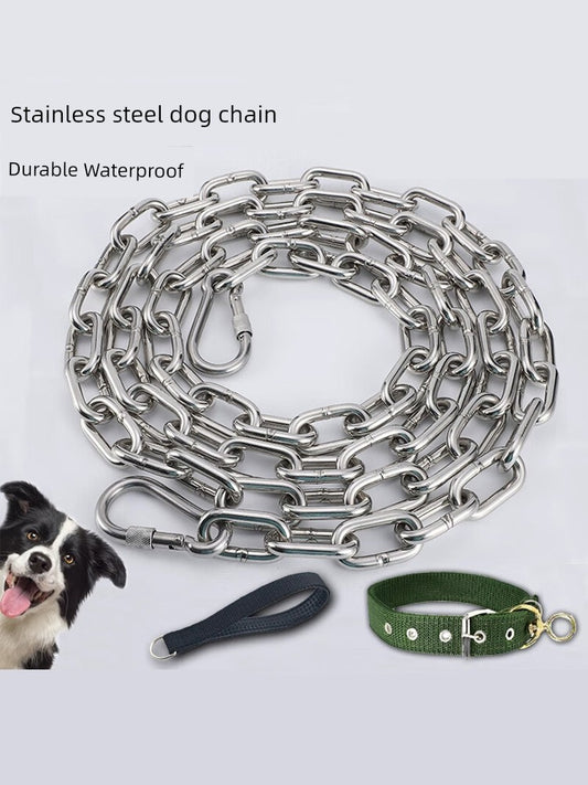 Stainless Steel Medium Dog Collar Dog Chain