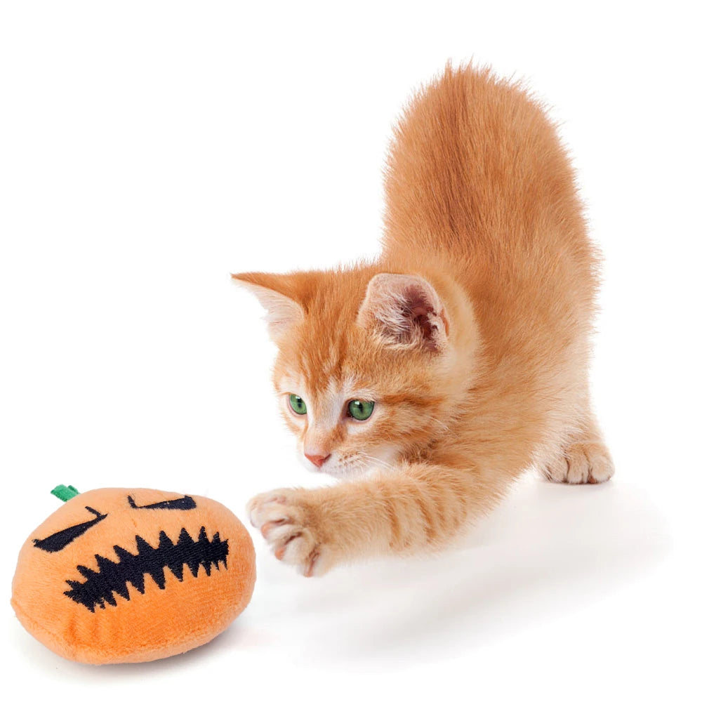 Halloween Dog Toy Funny Pumpkin Ghost Face Pet Biting Toys Soft Plush Cat Tooth Grinding Ball Can Make Sounds Dog Training Toys