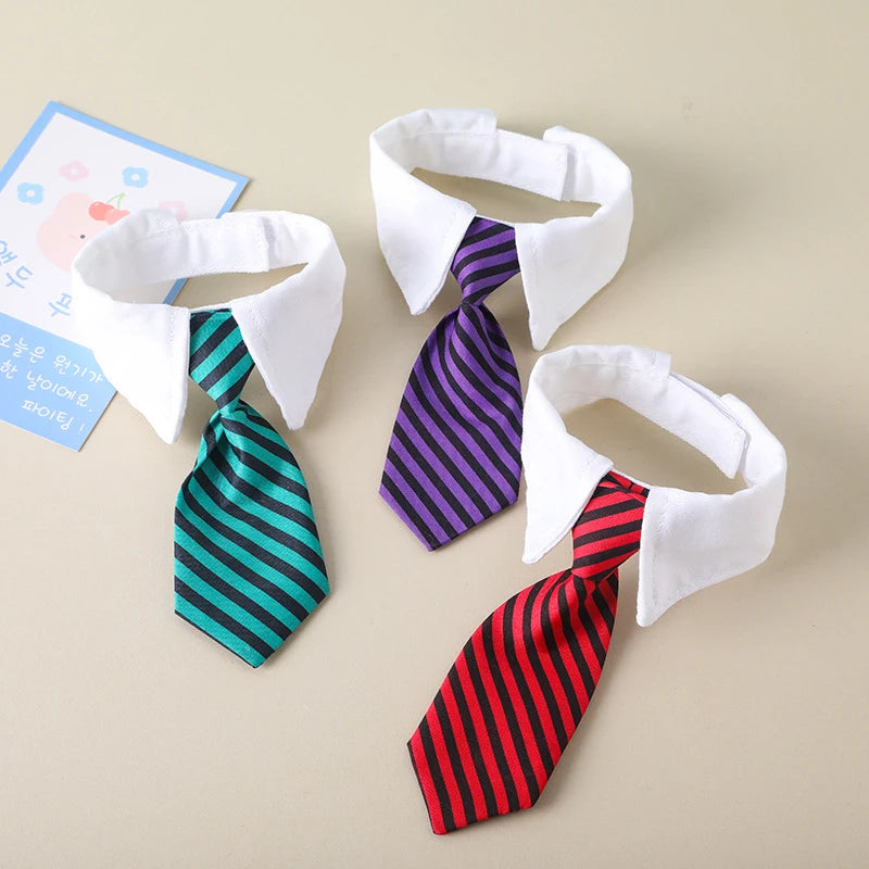 Shirt collar and tie for dogs or cats