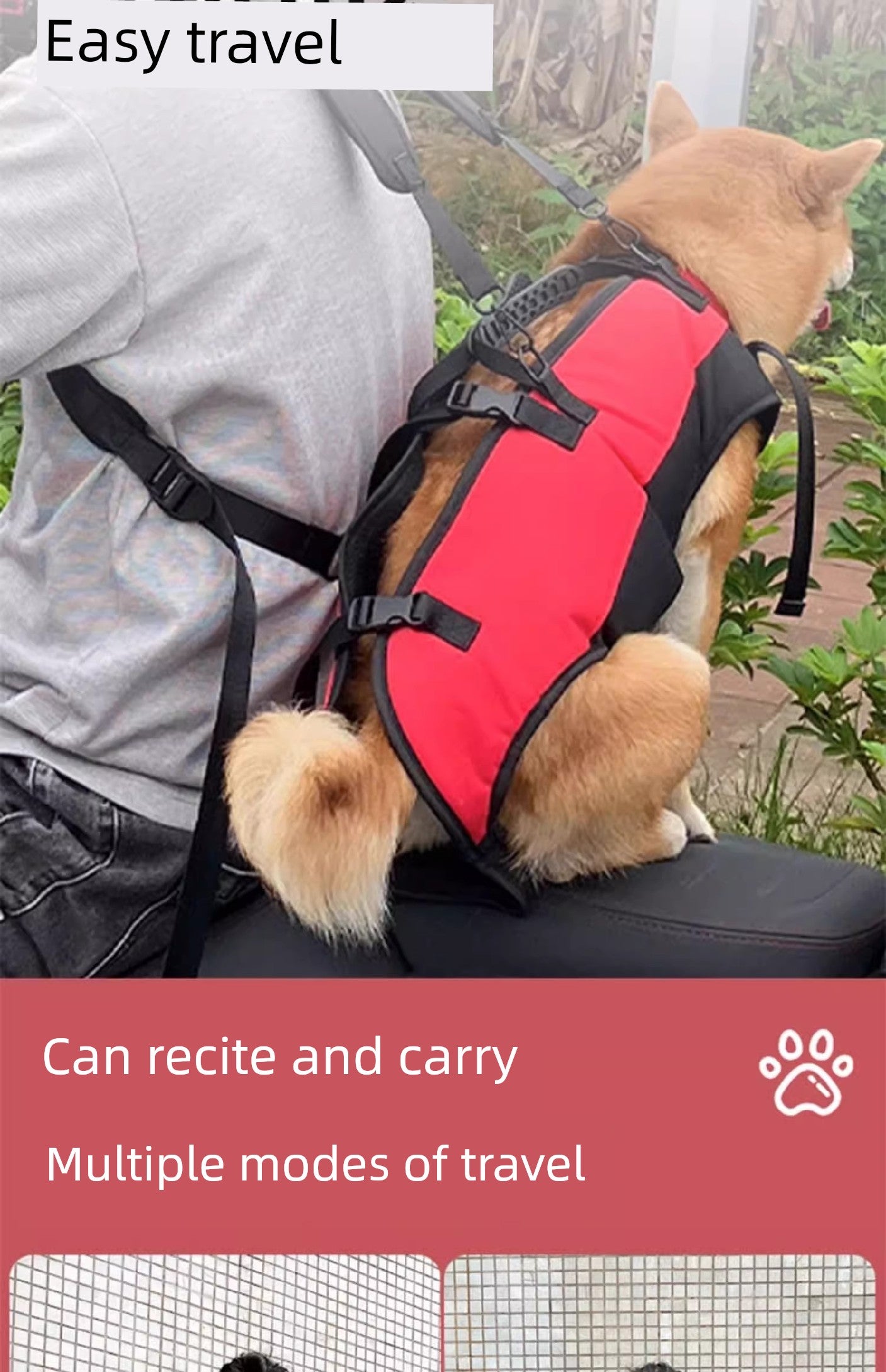 New Arrival Multifunctional Airborne Bag Portable Cycling Dog