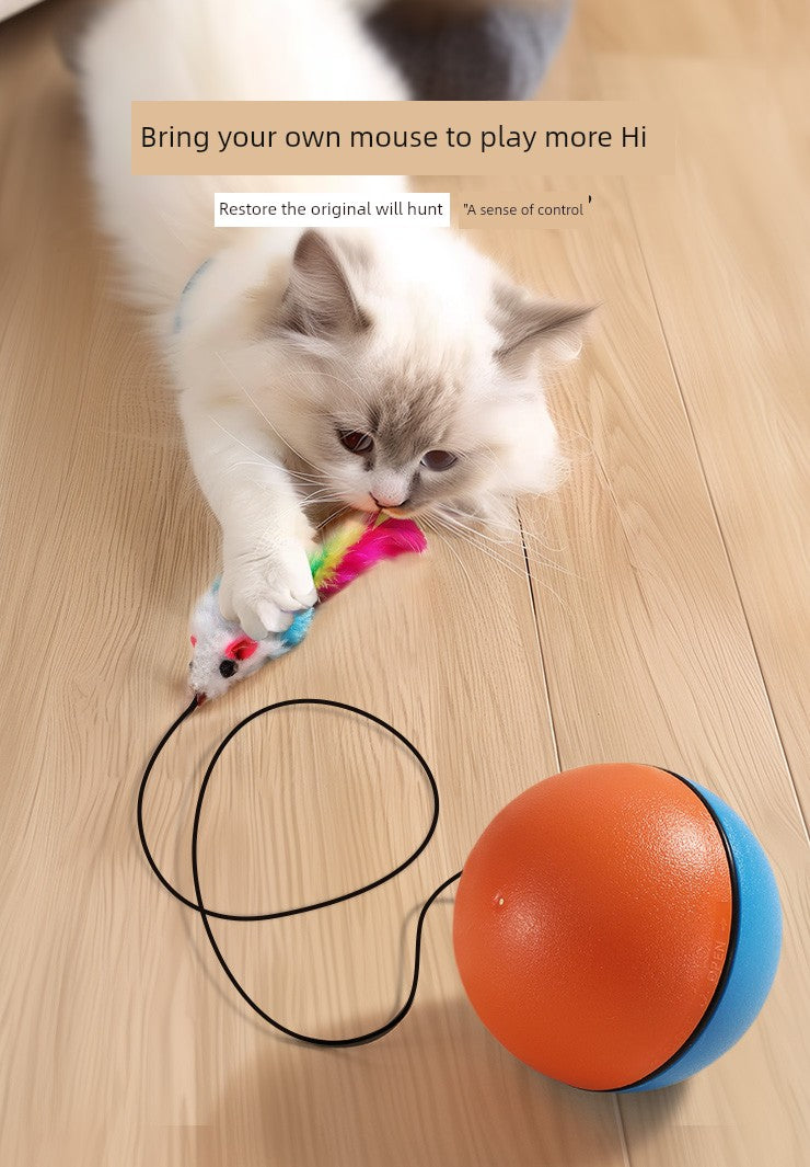 Self-Hi Relieving Stuffy Consumption Mouse Exercise Cat Toy