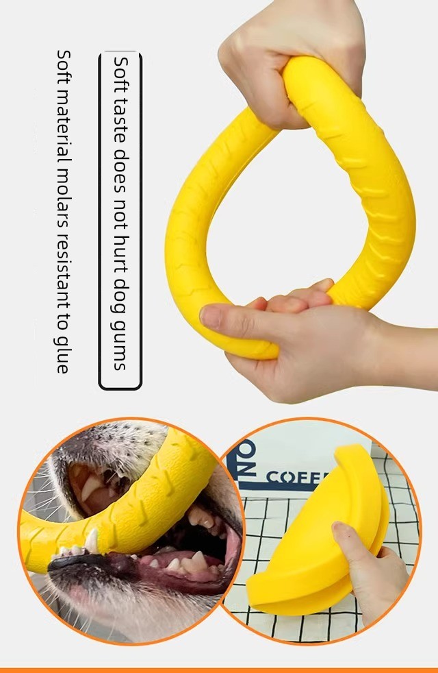 Ring Toy Border Training Dog