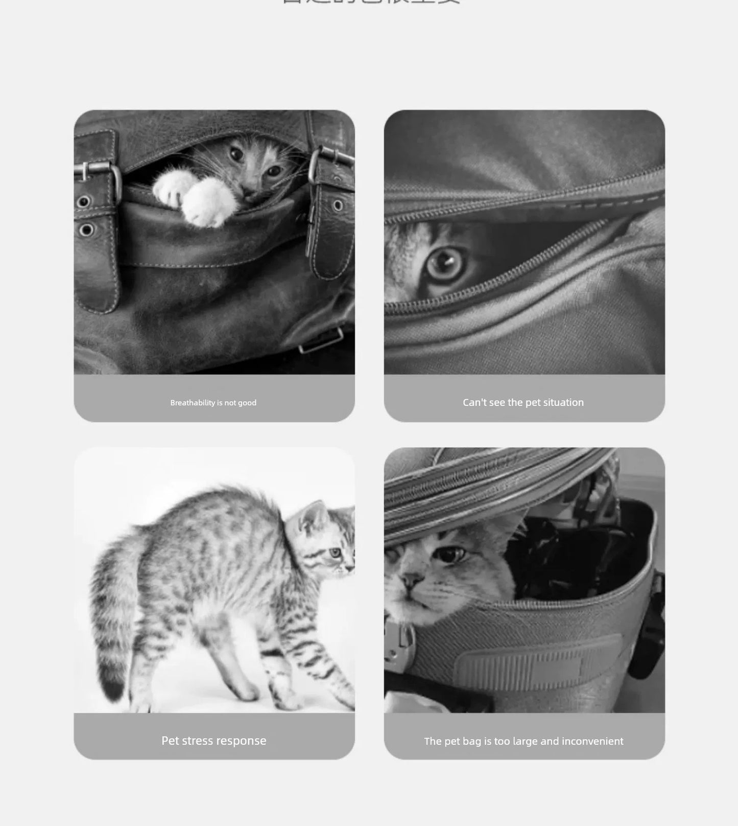 Cat Bag Outdoor Portable Canvas Bag Shoulder Bag Crossbody Bag Dog Backpack Exposed Cat Small Size Dogs Pet Bag