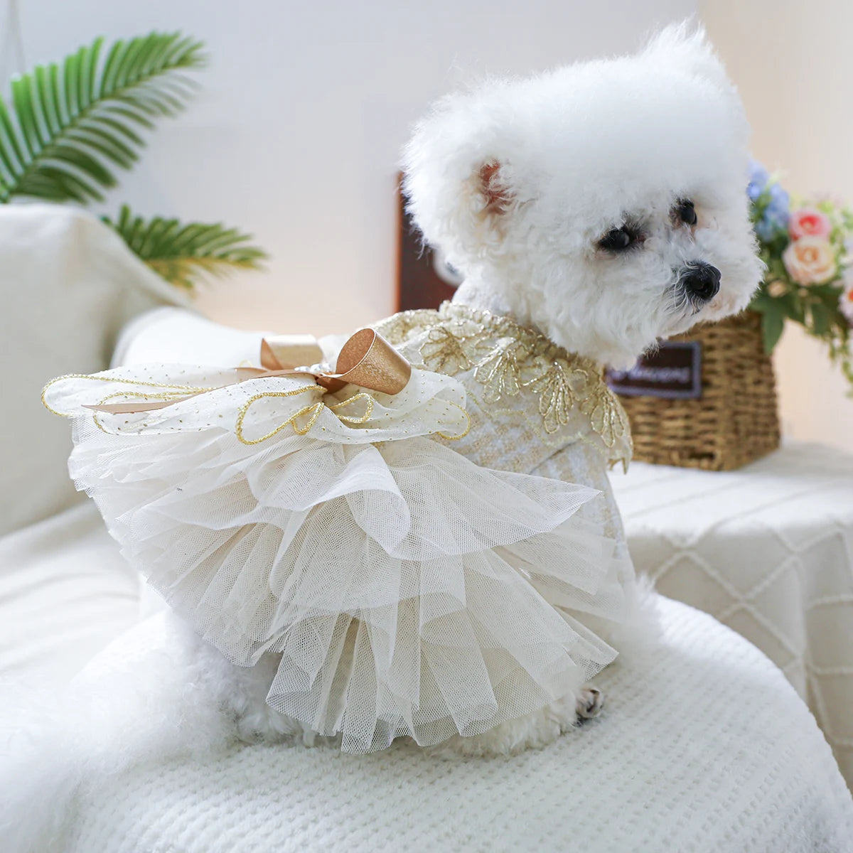 1PC Pet Clothing Spring and Autumn Dream Starry Wedding Dress Princess Dress Suitable for Small and Medium sized Dogs