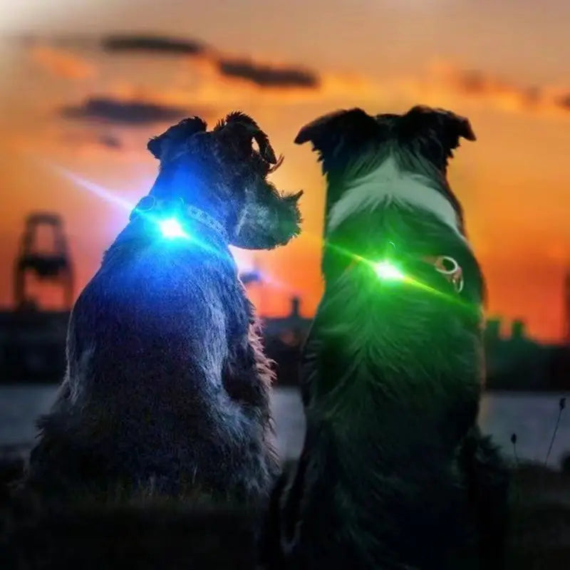 LED Lights Night Safety Dog Collar Glowing Pendant Pet Accessories Glow In The Dark Bright Necklace Flashing Light Pendant