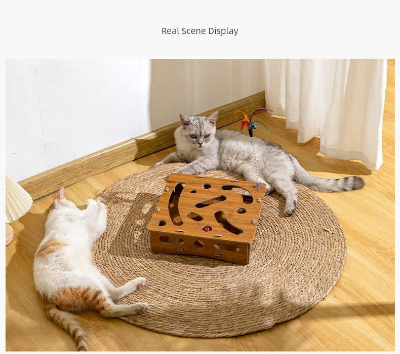 Relieving Stuffy Handy Gadget Consumption Puzzle Maze Box Cat