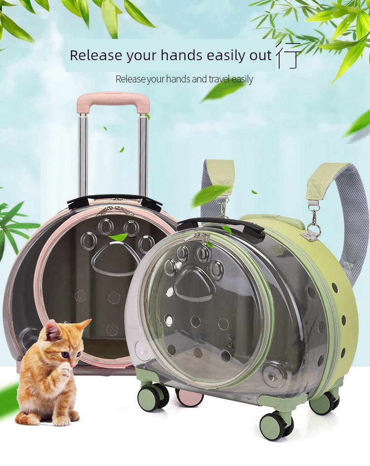 Trolley Case Portable Panoramic Transparent Backpack Cat