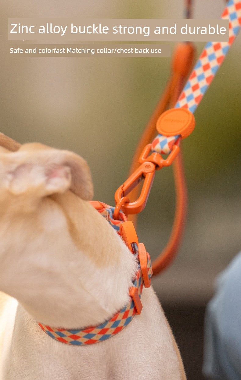 Small Dog or Cat Harness and Leash