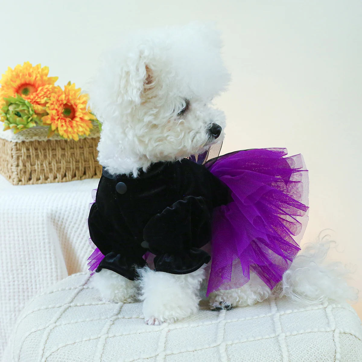 1PC Pet Clothing Dog Autumn Winter Black Velvet Purple Princess Wedding Dress Dress With Drawstring Buckle For Small Medium Dogs