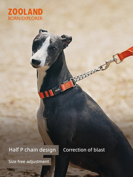 Zooland Domain Half P Chain Dog