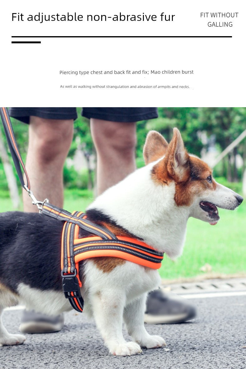 Chest Back Hand Holding Rope Dog Leash Collar