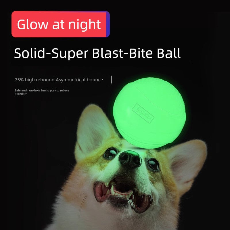 Super Elastic Dog Luminous Ball Luminous Elastic Ball Toy Bite-Resistant Relieving Stuffy Large, Medium and Small Dogs Molar Pet Toy