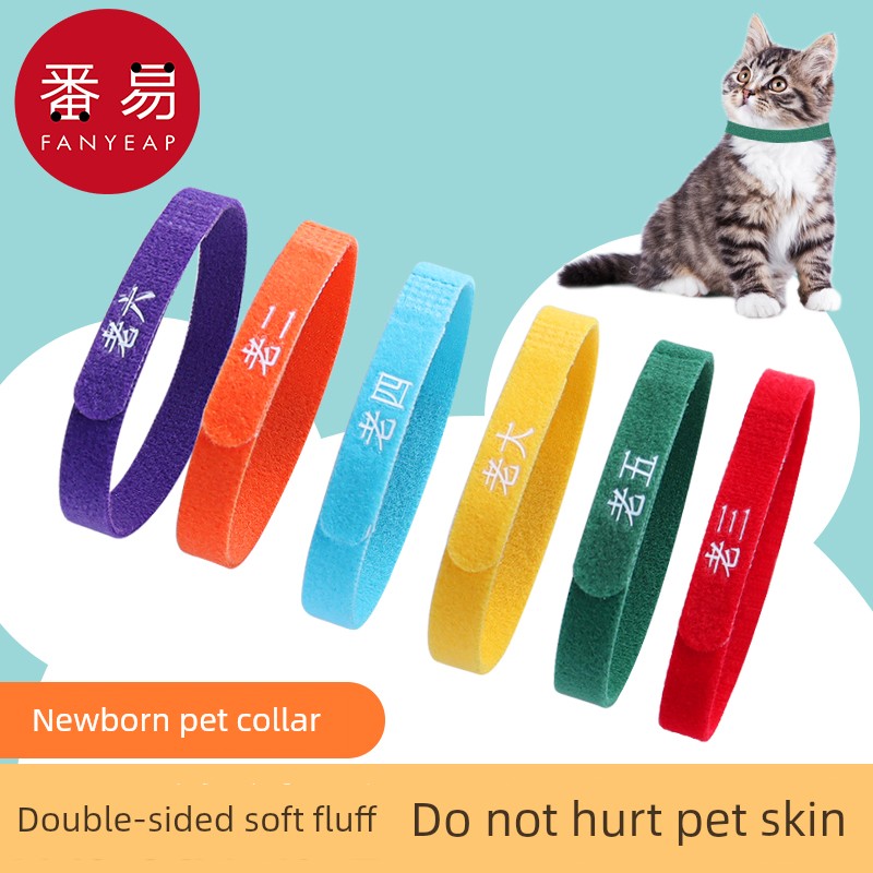 Pet Collar/Identification Newborn Kittens or Puppies