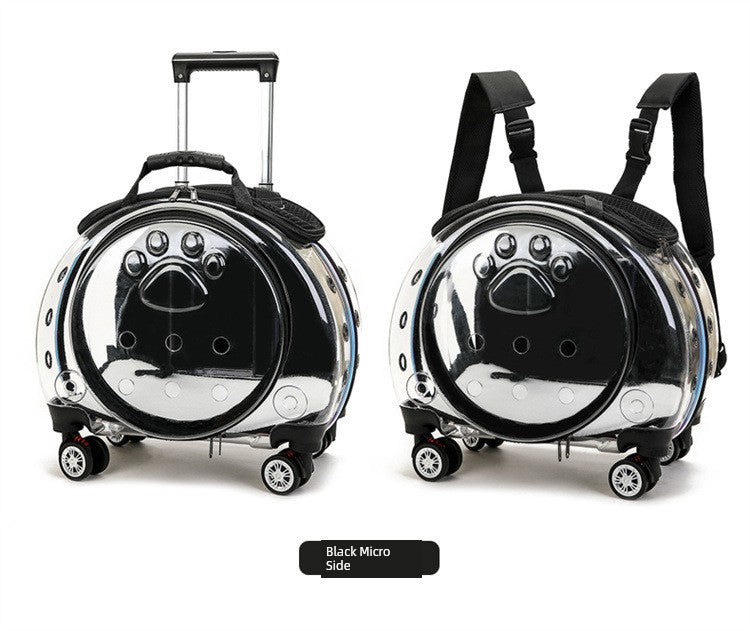 Trolley Case Portable Panoramic Transparent Backpack Cat