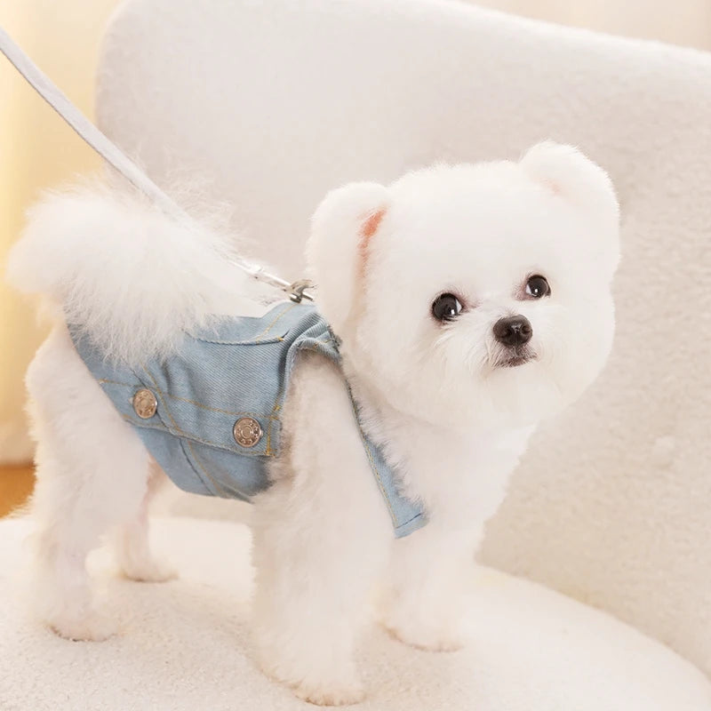 Autumn Pet Dog Clothes for Small Dogs Fashion Dog Denim Dress Cute Puppy Skirt Warm Soft Cat Suspender Skirt Chihuahua Clothes