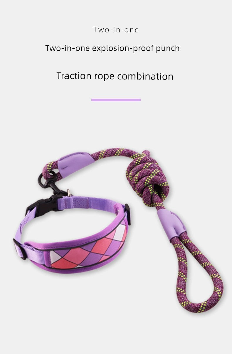 Collar for Medium to Large Dog