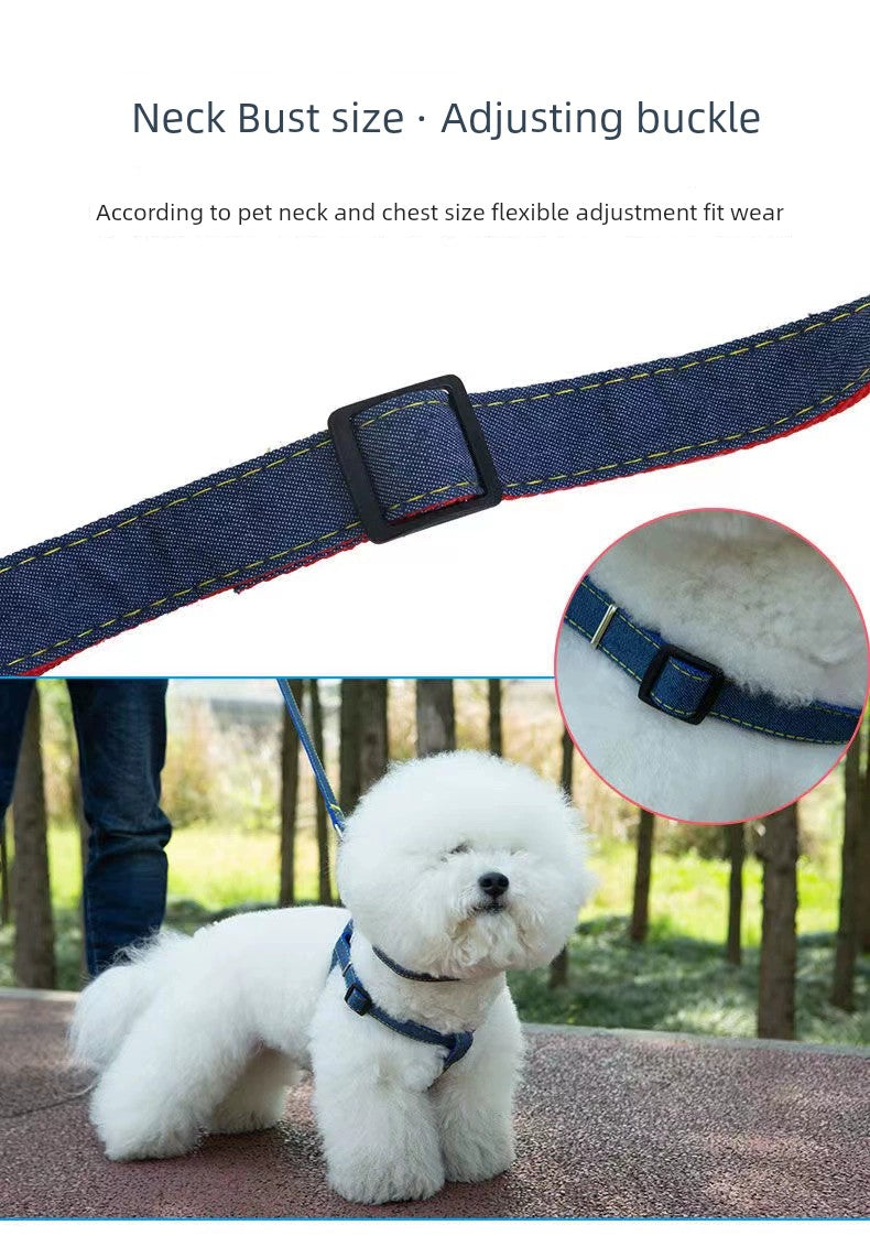 Large Teddy Pet Supplies Chest and Back Dog Hand Holding Rope