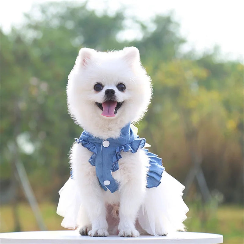 Summer Dog Clothes Pet Denim Dresses for Small Dogs Pomeranian Chihuahua Puppy Kitten Skirt Princess Dress Pink Girls Clothing